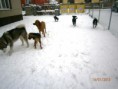 /album/fotogalerie-uvodni-stranka/a149501-567475469946911-1586239495-n-jpg/